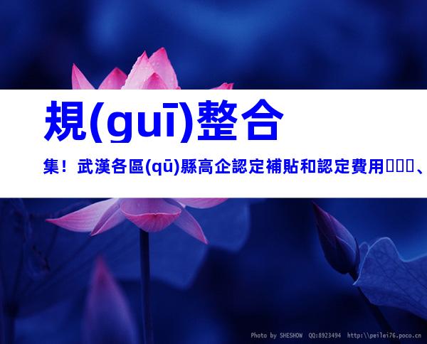 規(guī)整合集！武漢各區(qū)縣高企認定補貼和認定費用、材料指南